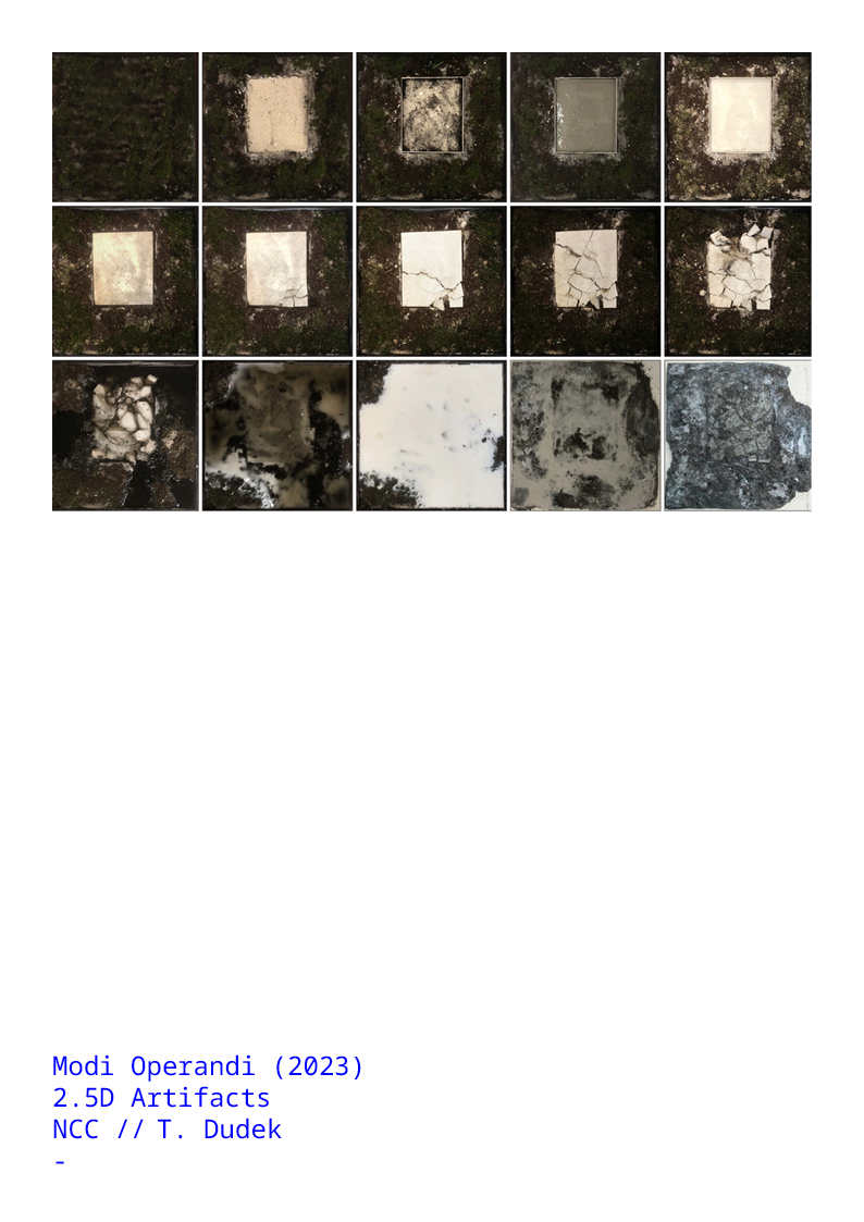 Displayed Image